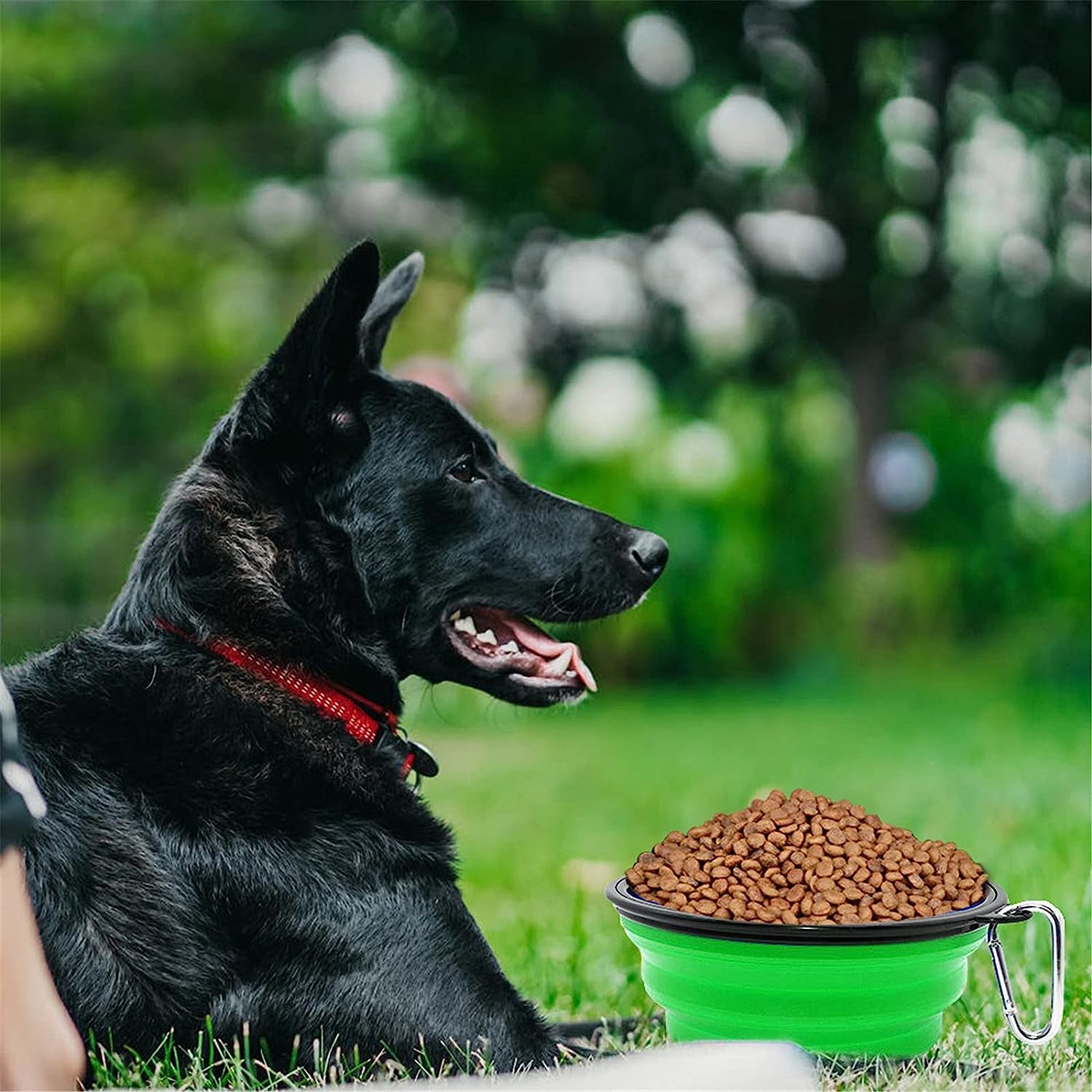 Professional title: "Large Portable Collapsible Dog Bowl for Pets, Cats, and Puppies - Ideal for Walking, Camping, and Outdoor Activities (Green)"